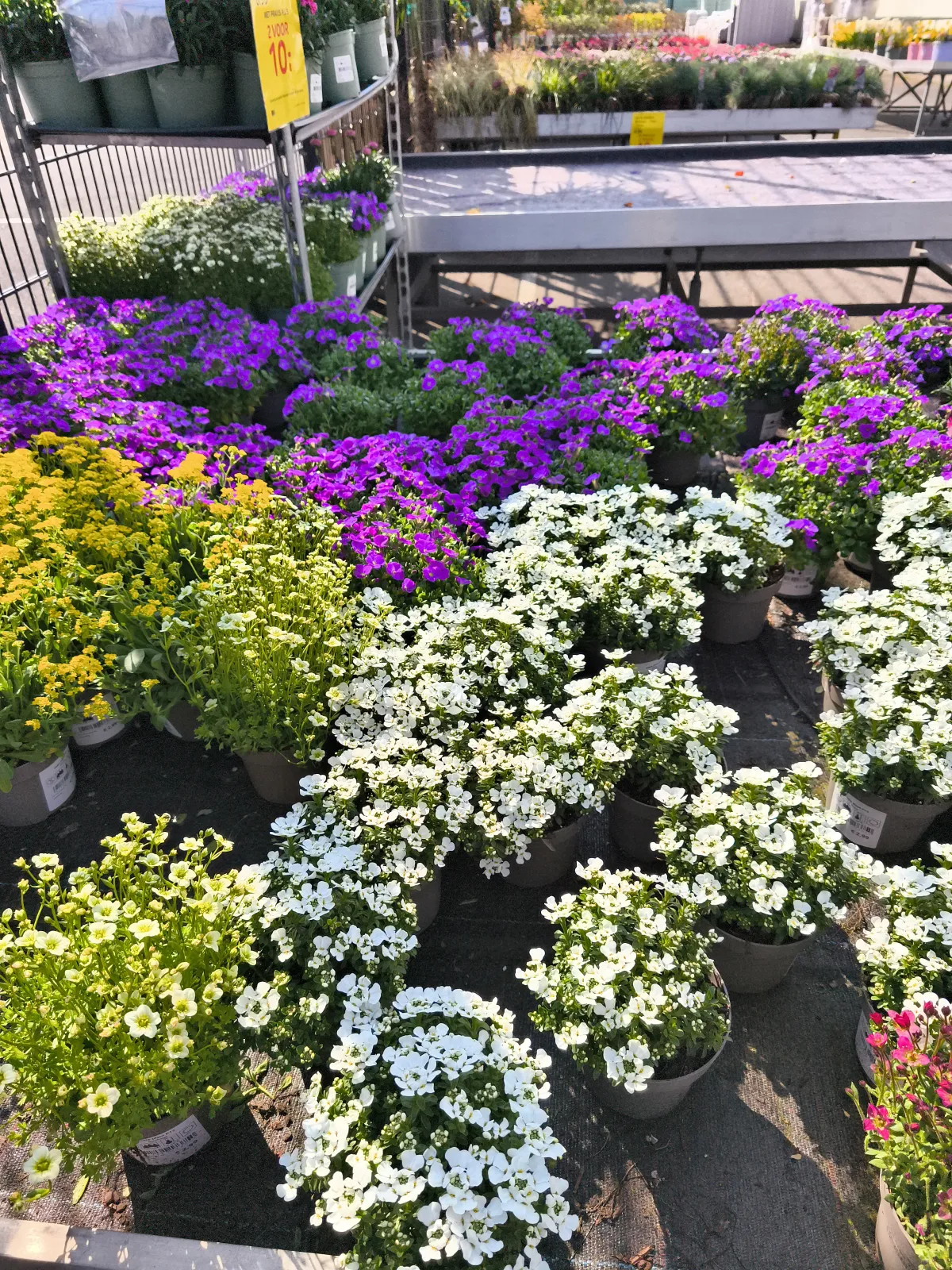 Bloemrijke Verleiding