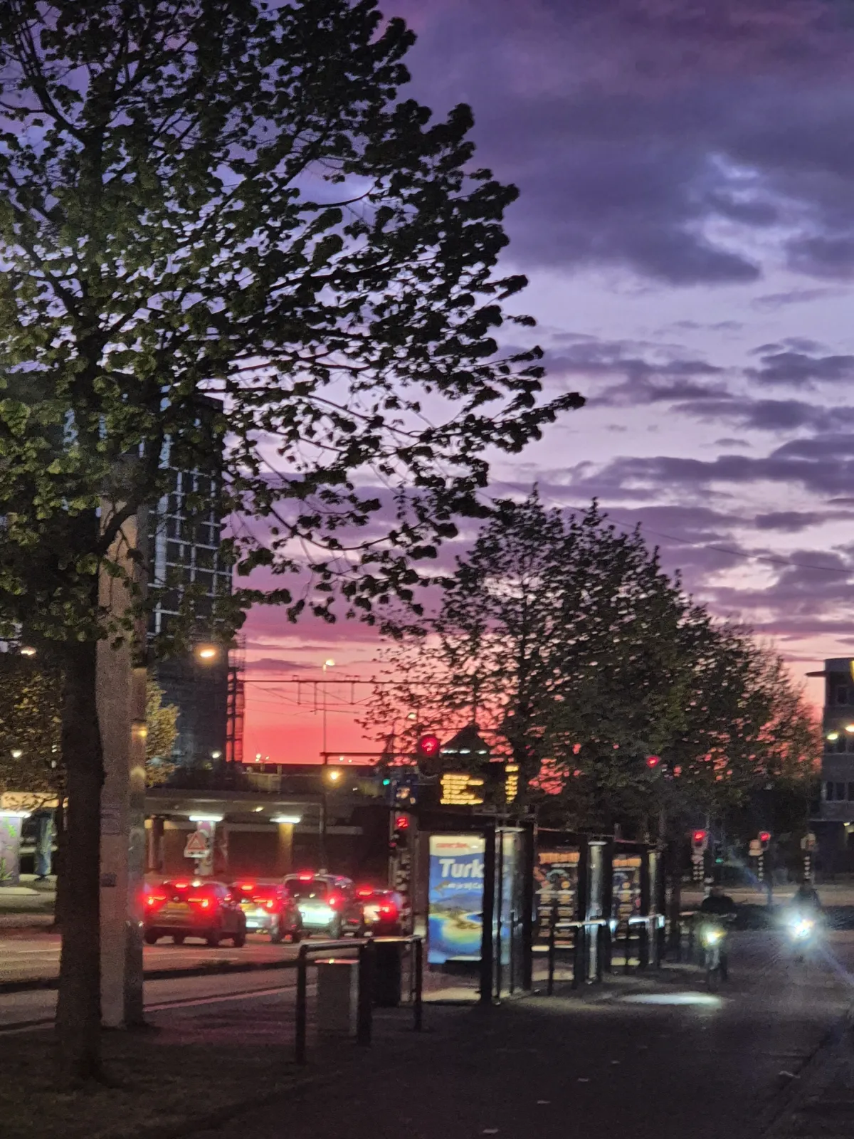Avondrood bij de Bushalte