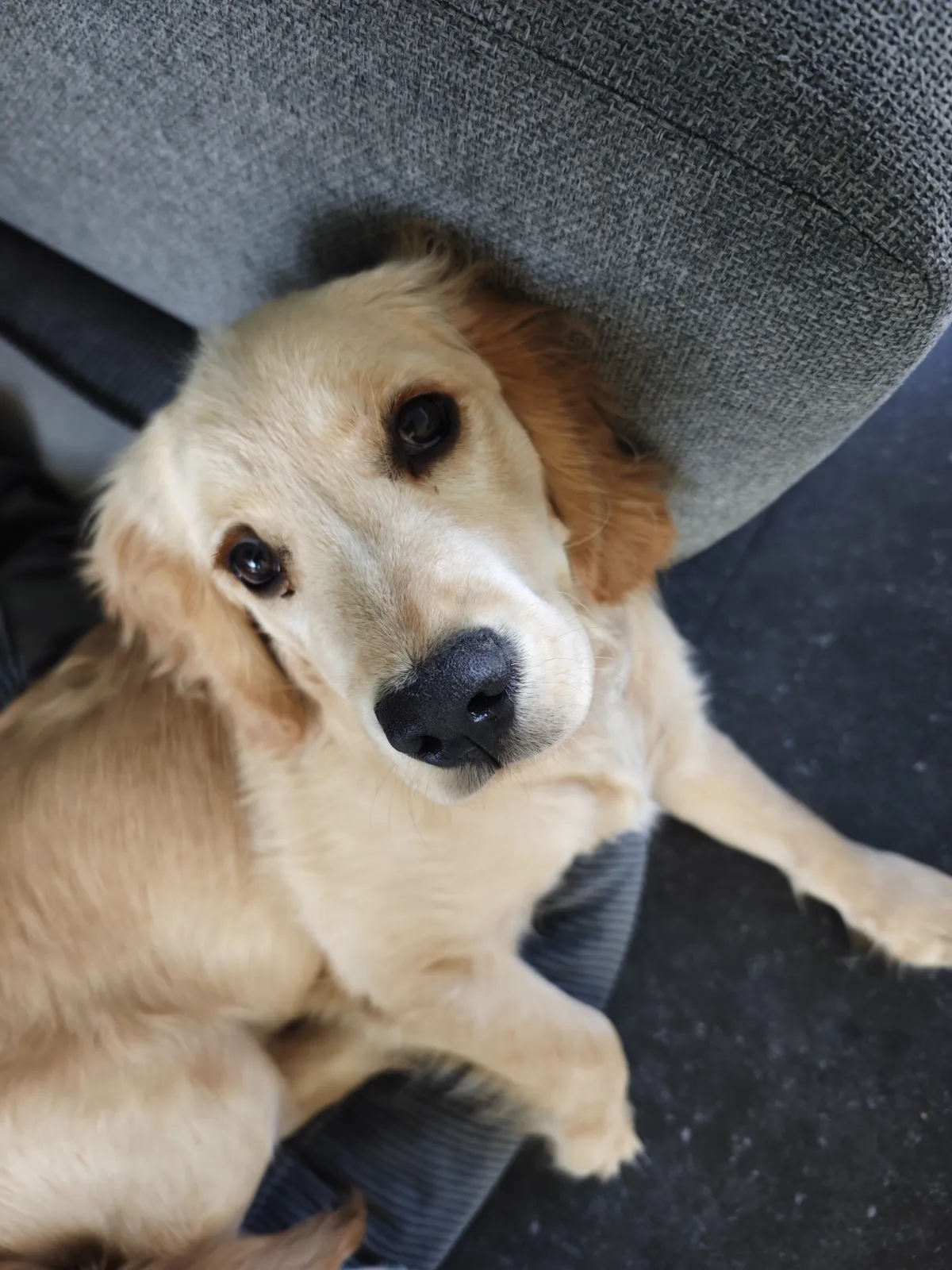 De Kroon van de Bank: Een Verkenning van Licht en Belichting