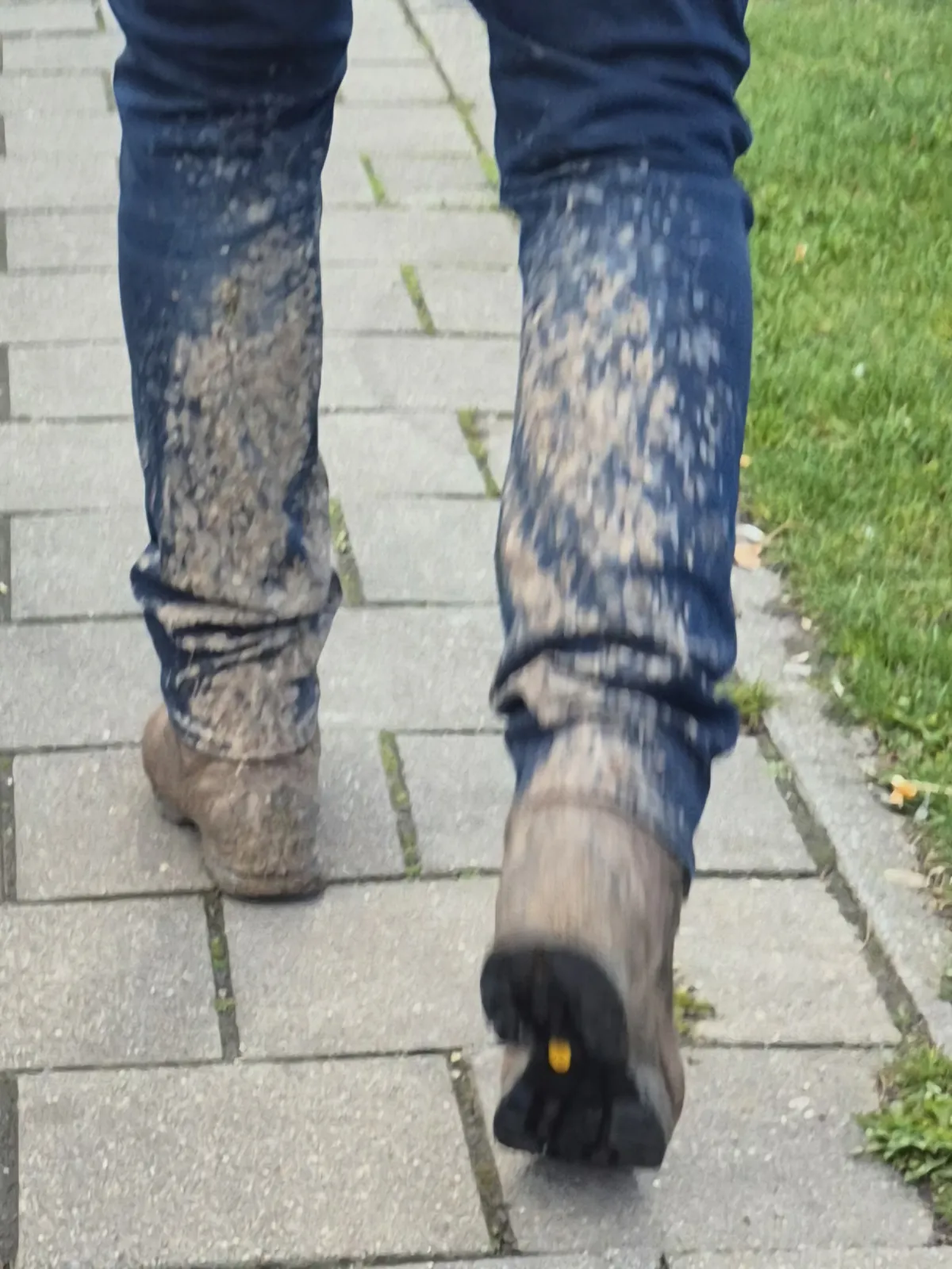 Muddy Walk