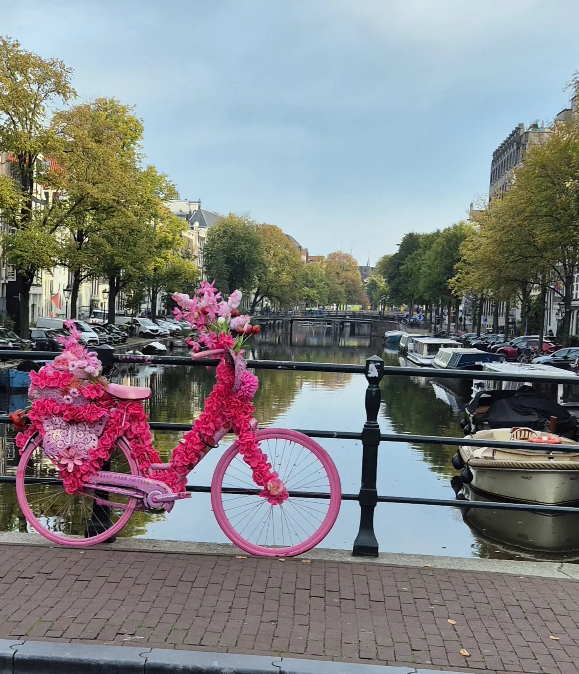 Roze Fiets aan de Gracht