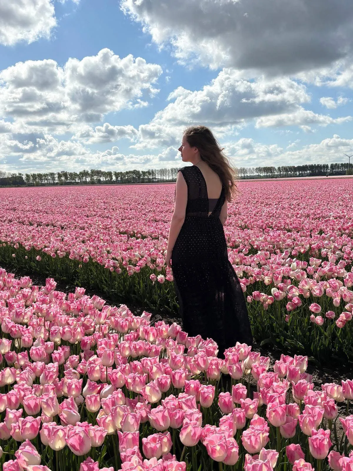 Verloren in Tulpenland