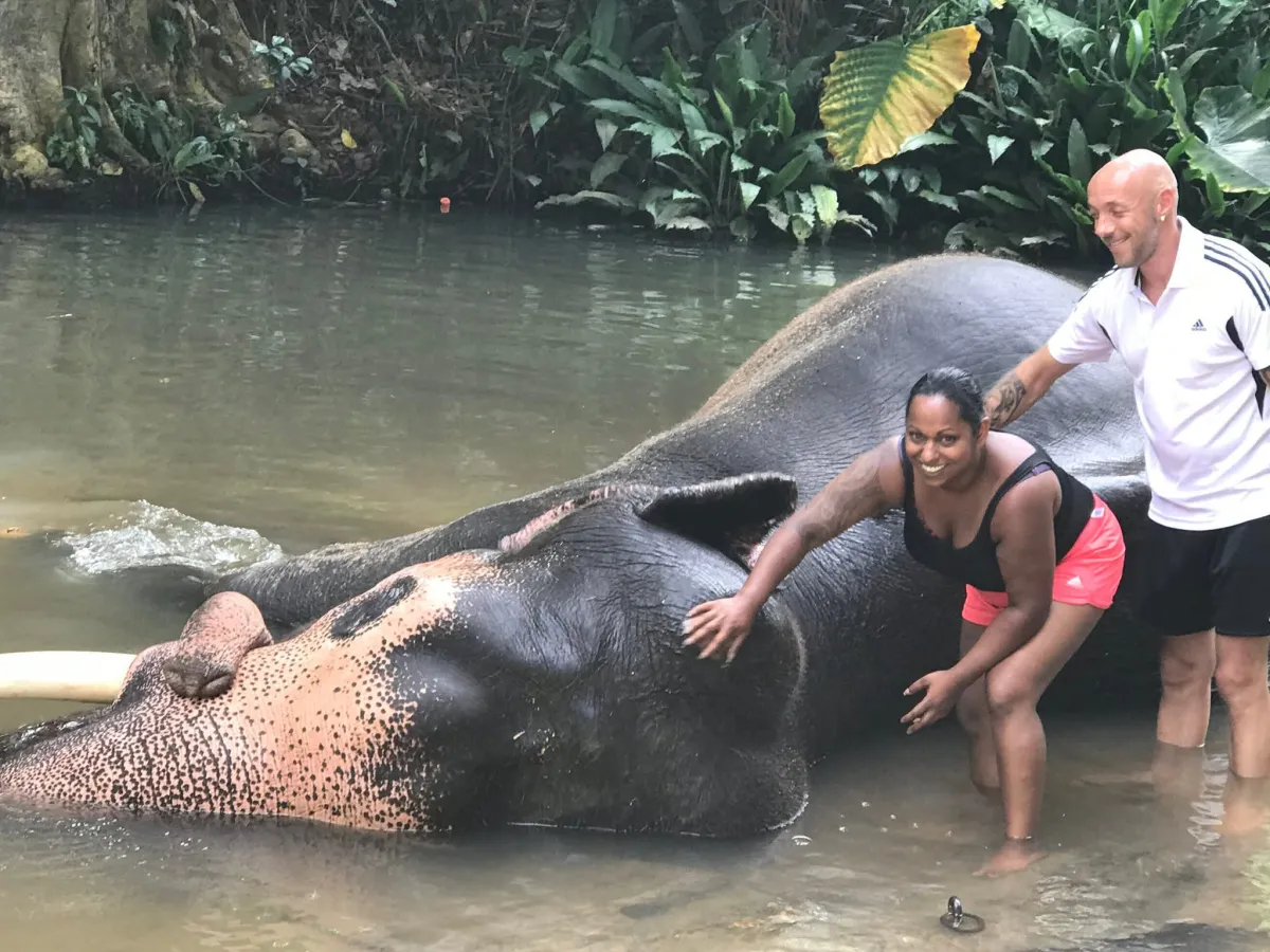 Olifant in de rivier